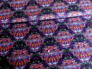 Teplákovina druk cyfrowy kolorowe sowy