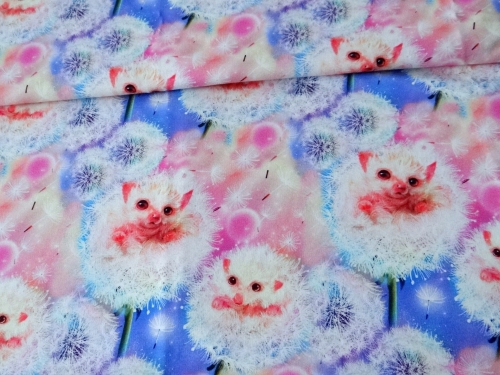 kolorowe jeżyki.jpg