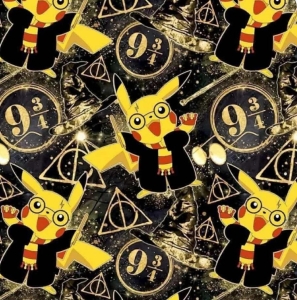 Dresówka pętelka druk cyfrowy pokemon czarodziej
