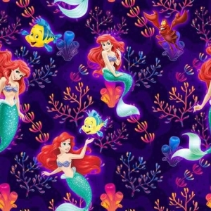 Dresówka pętelka druk syrenka