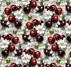 Jersey  druk cyfrowy wisienki